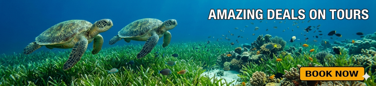 Slider - Kalido Travel