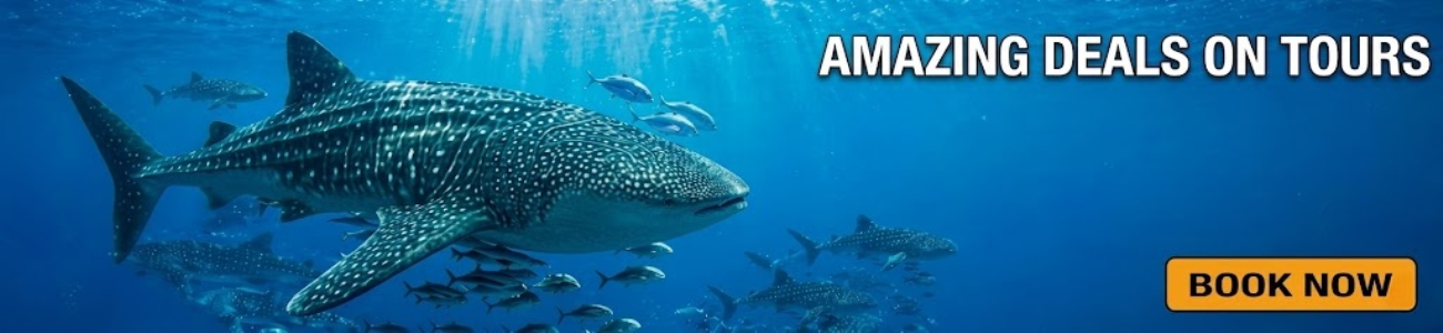 Slider - Kalido Travel