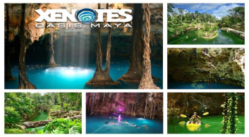 xenotes oasis maya tour